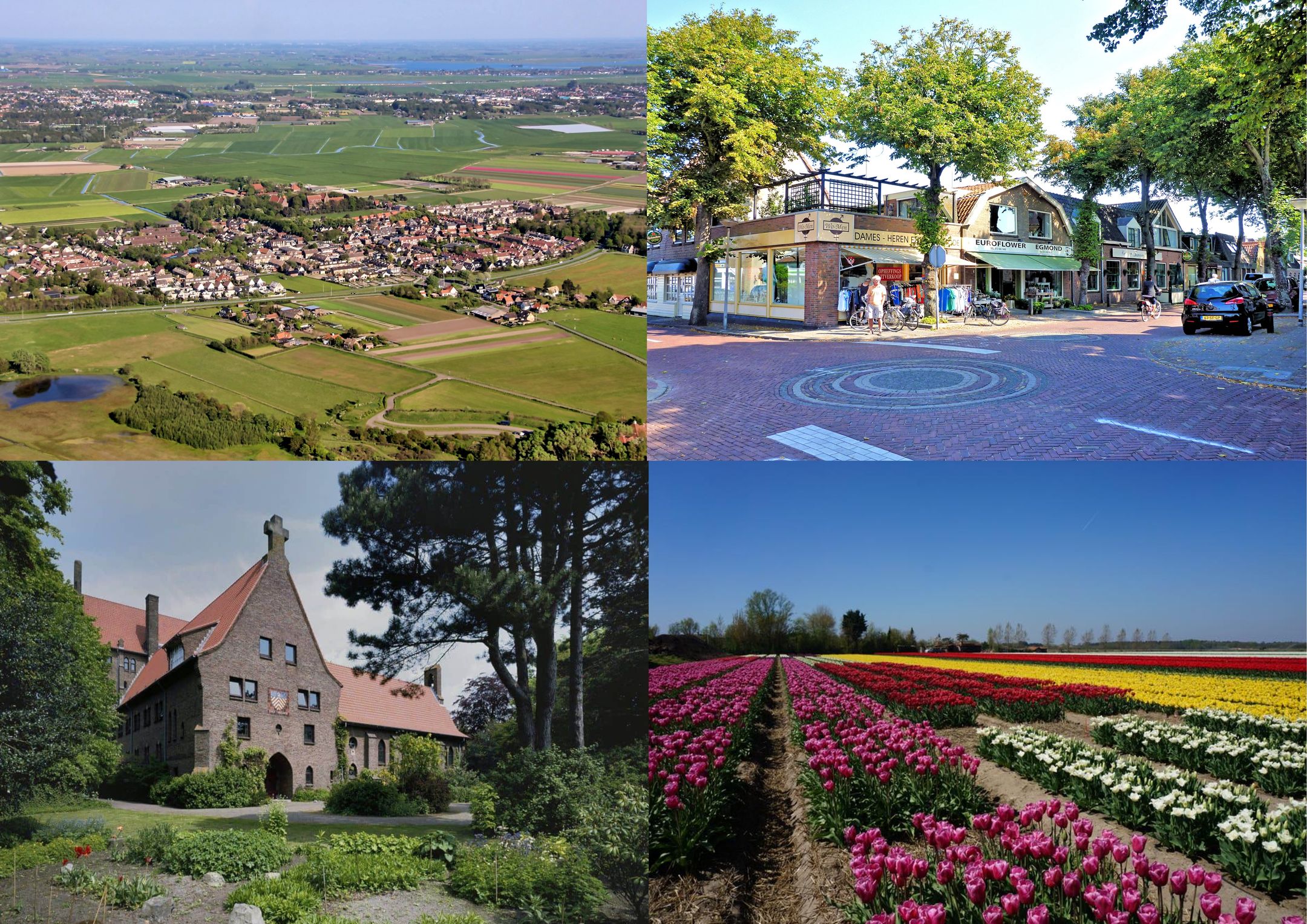 Photo 42 of Meeuwenlaan 7