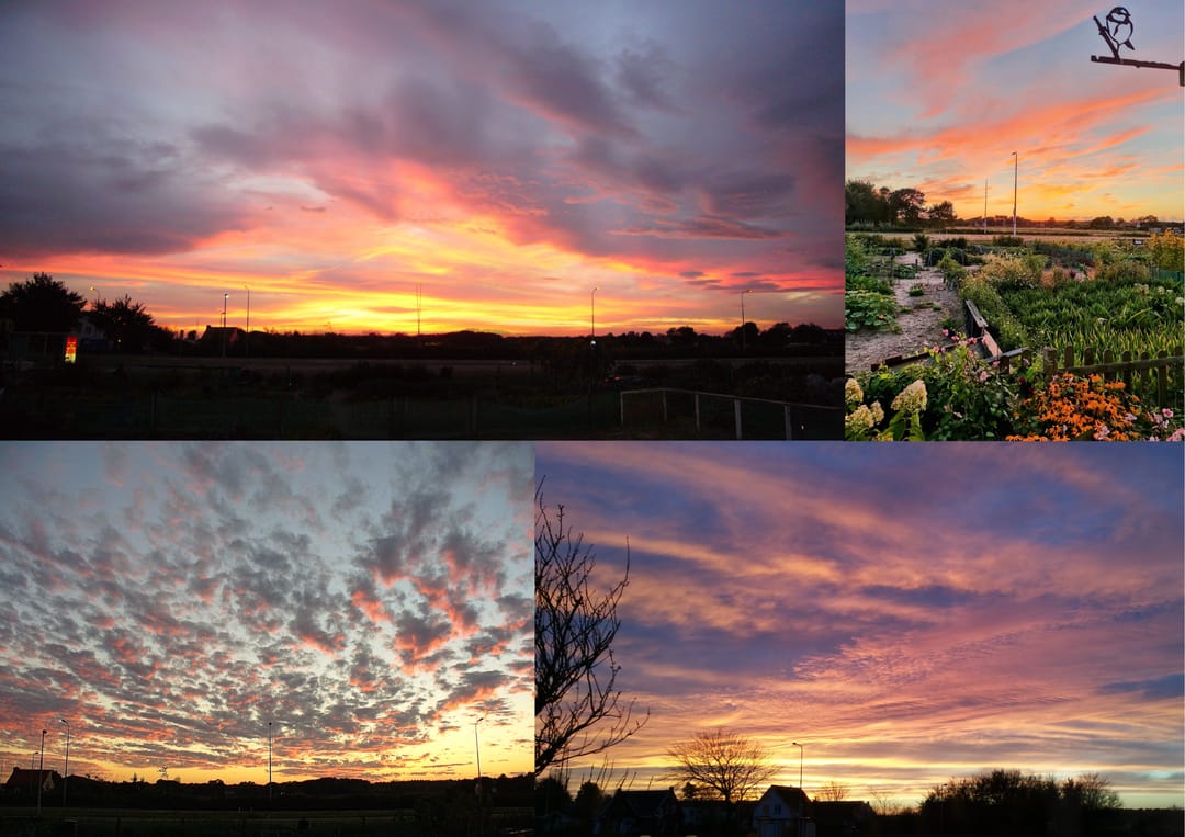 Photo 43 of Meeuwenlaan 7