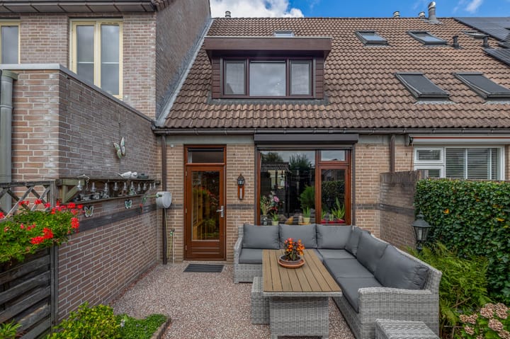 Photo 5 of Boterbloem 3