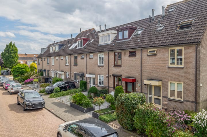 Photo 27 of Boterbloem 3