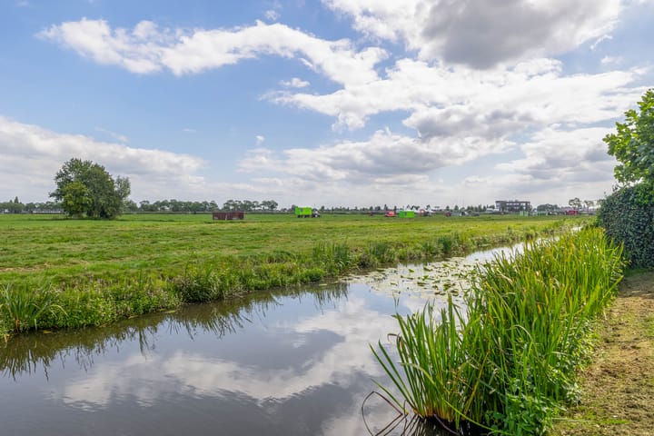 Photo 28 of Boterbloem 3