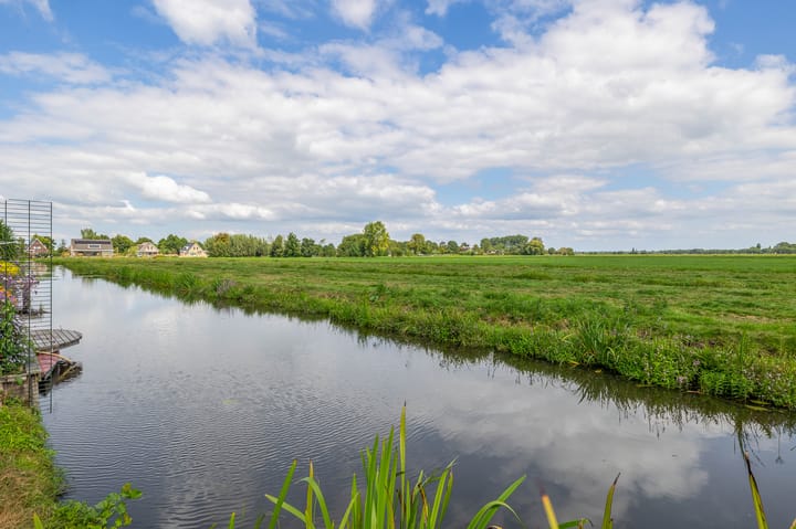 Photo 29 of Boterbloem 3