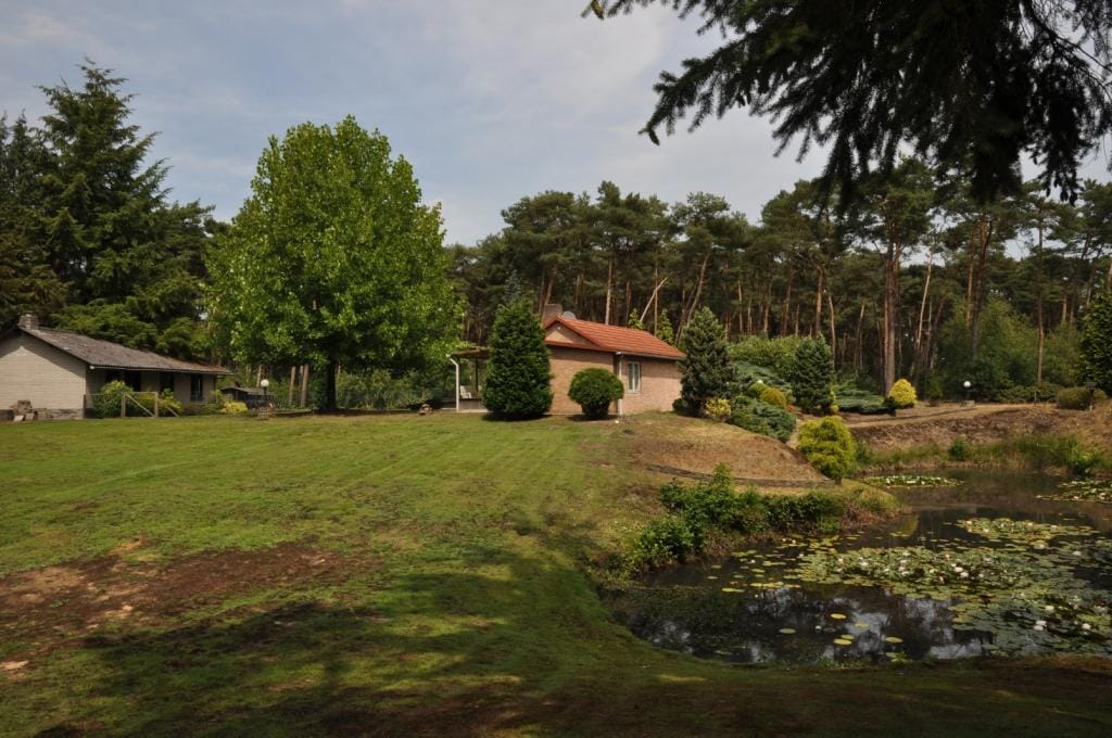 Foto 13 van Lieshoutseweg 49