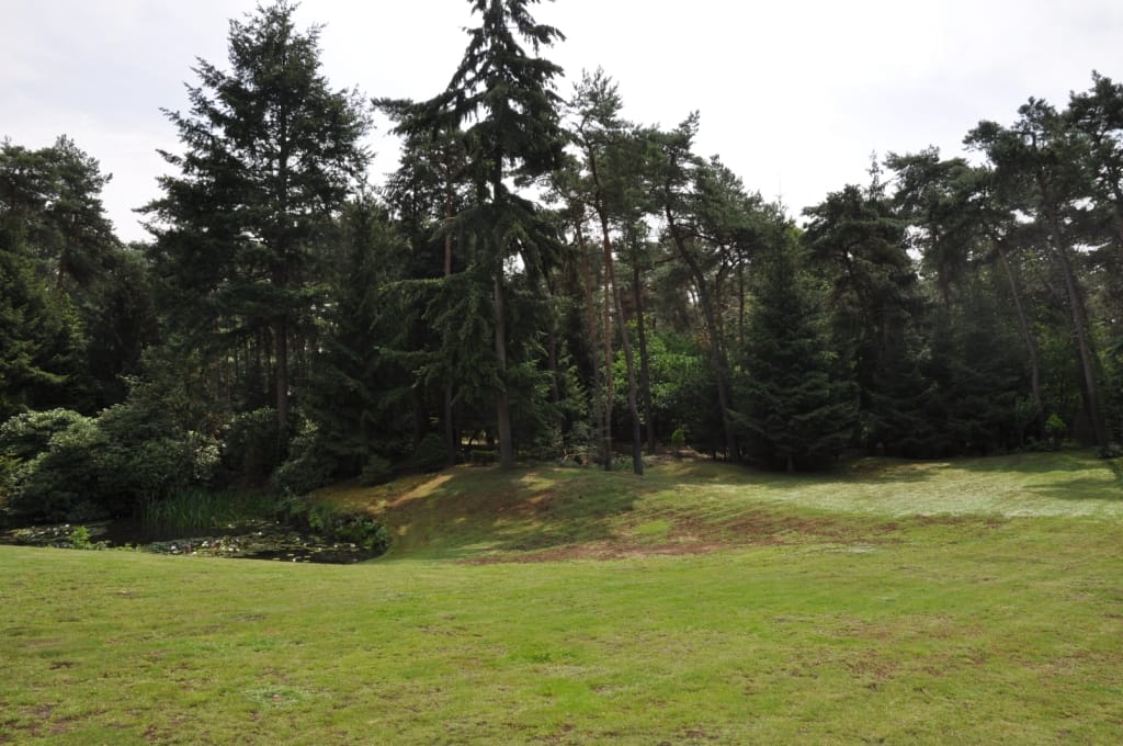 Foto 14 van Lieshoutseweg 49