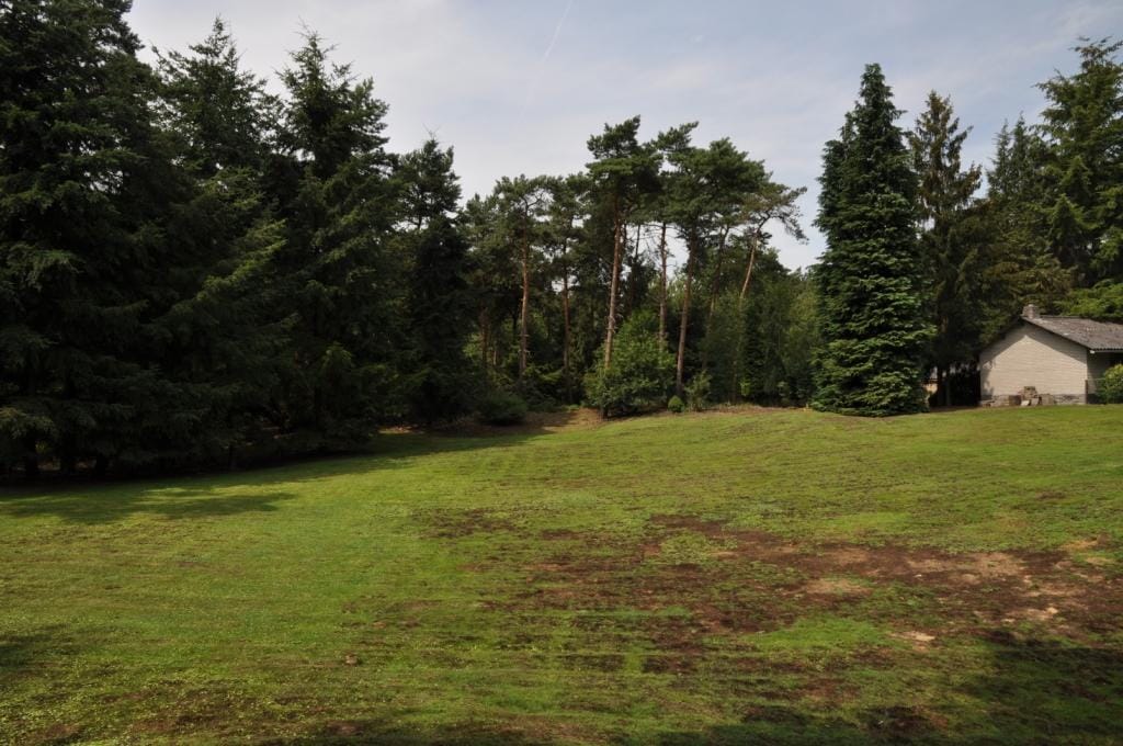 Foto 16 van Lieshoutseweg 49