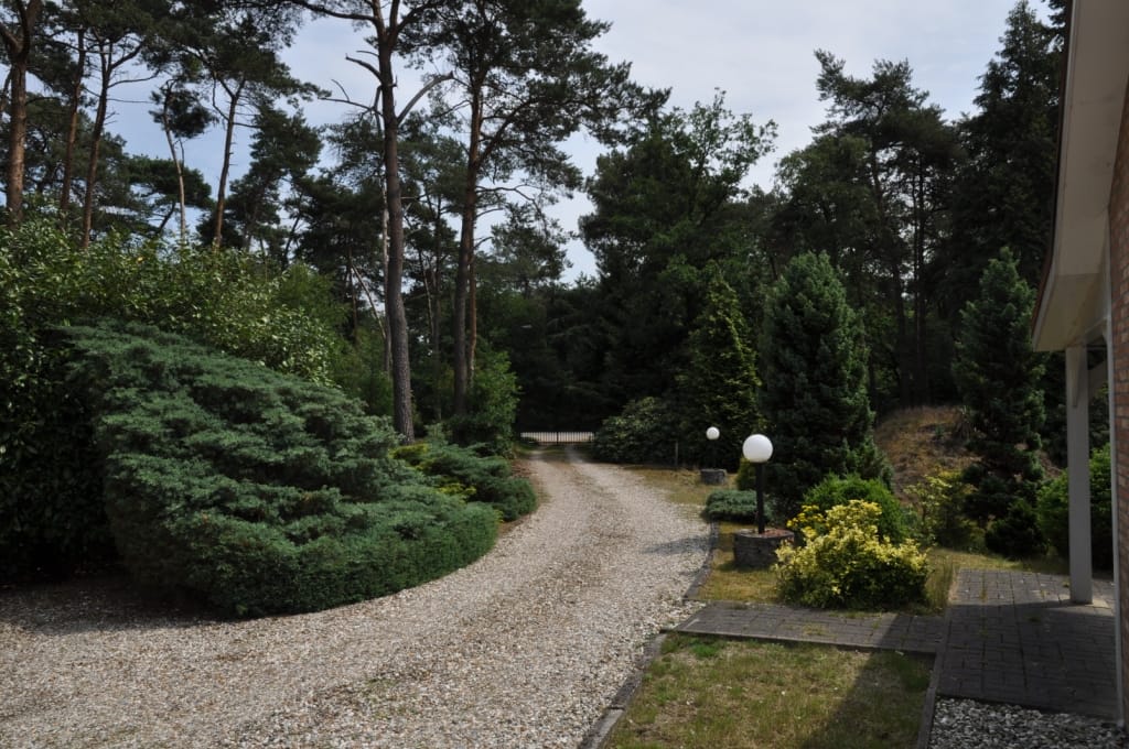 Foto 18 van Lieshoutseweg 49