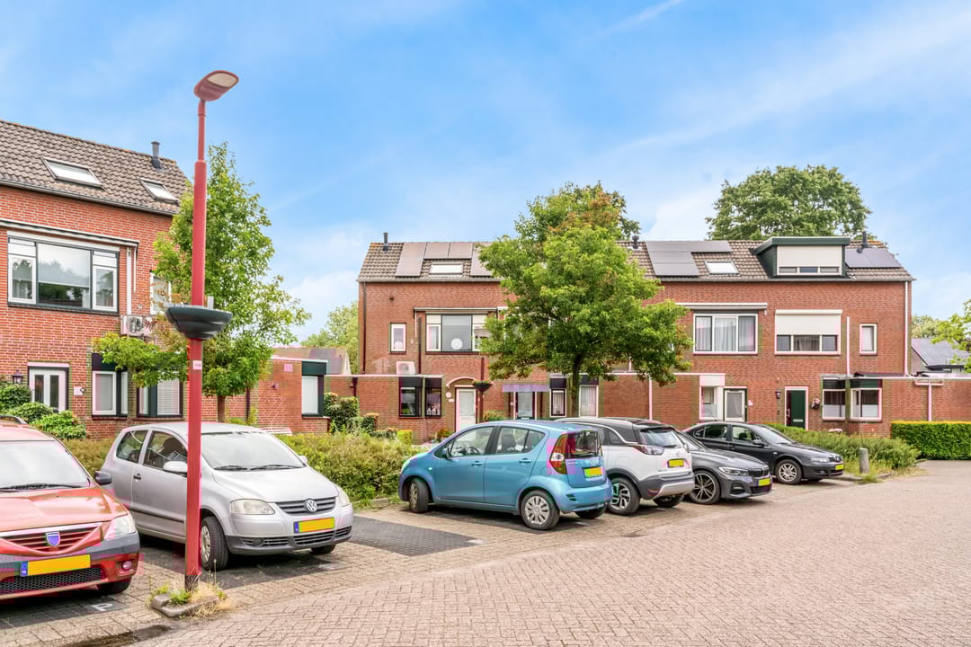 Foto 2 van Stormvogel 11