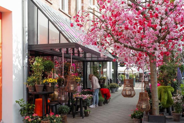 Photo 24 of Emmalaan 19-C