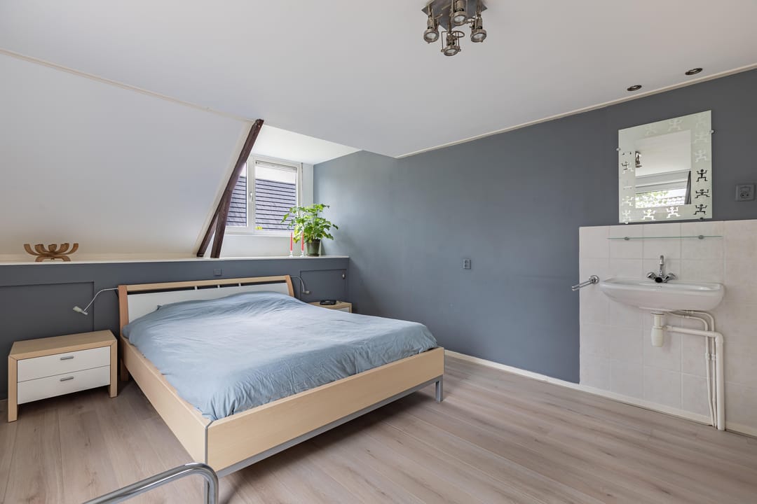 Foto 31 van Sânpaed 3