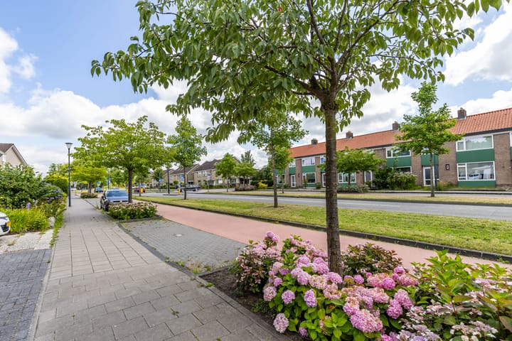 Foto 3 van Splitting 47