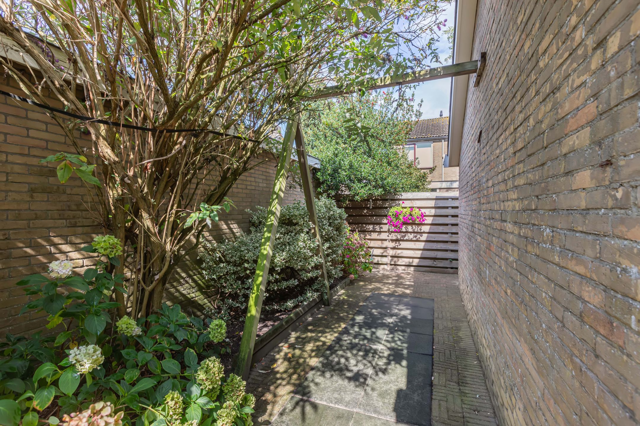 Foto 48 van Sânpaed 3