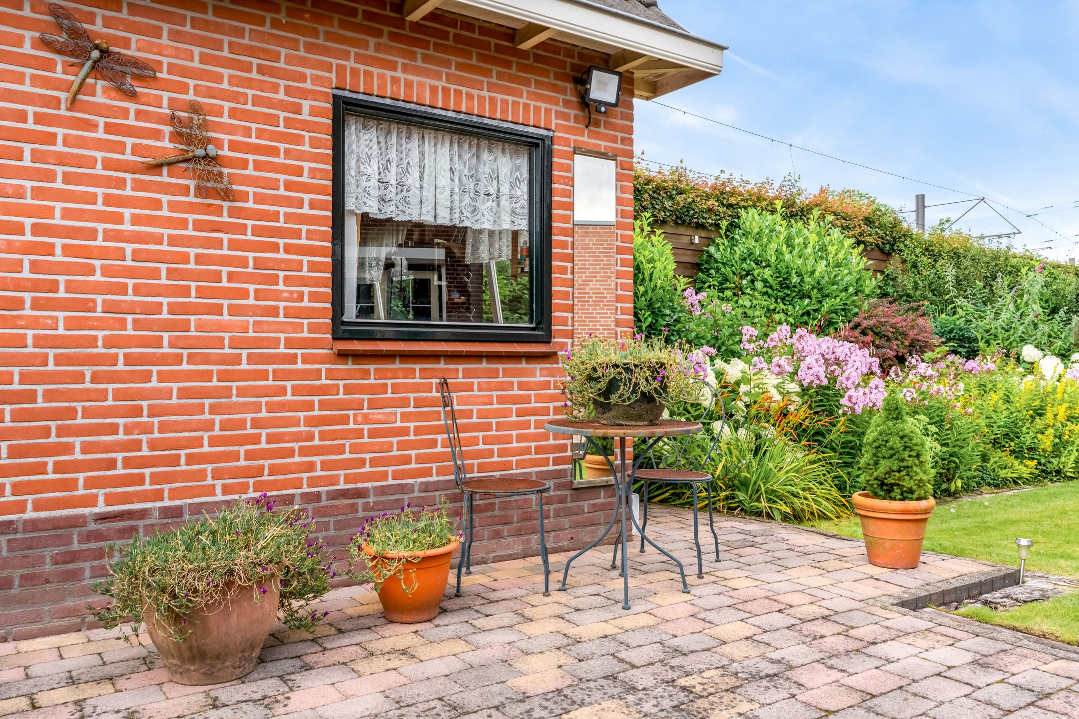 Foto 33 van Stormvogel 11