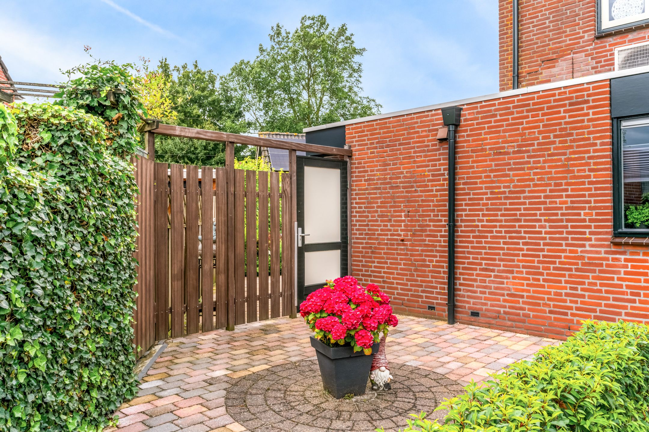 Foto 48 van Stormvogel 11