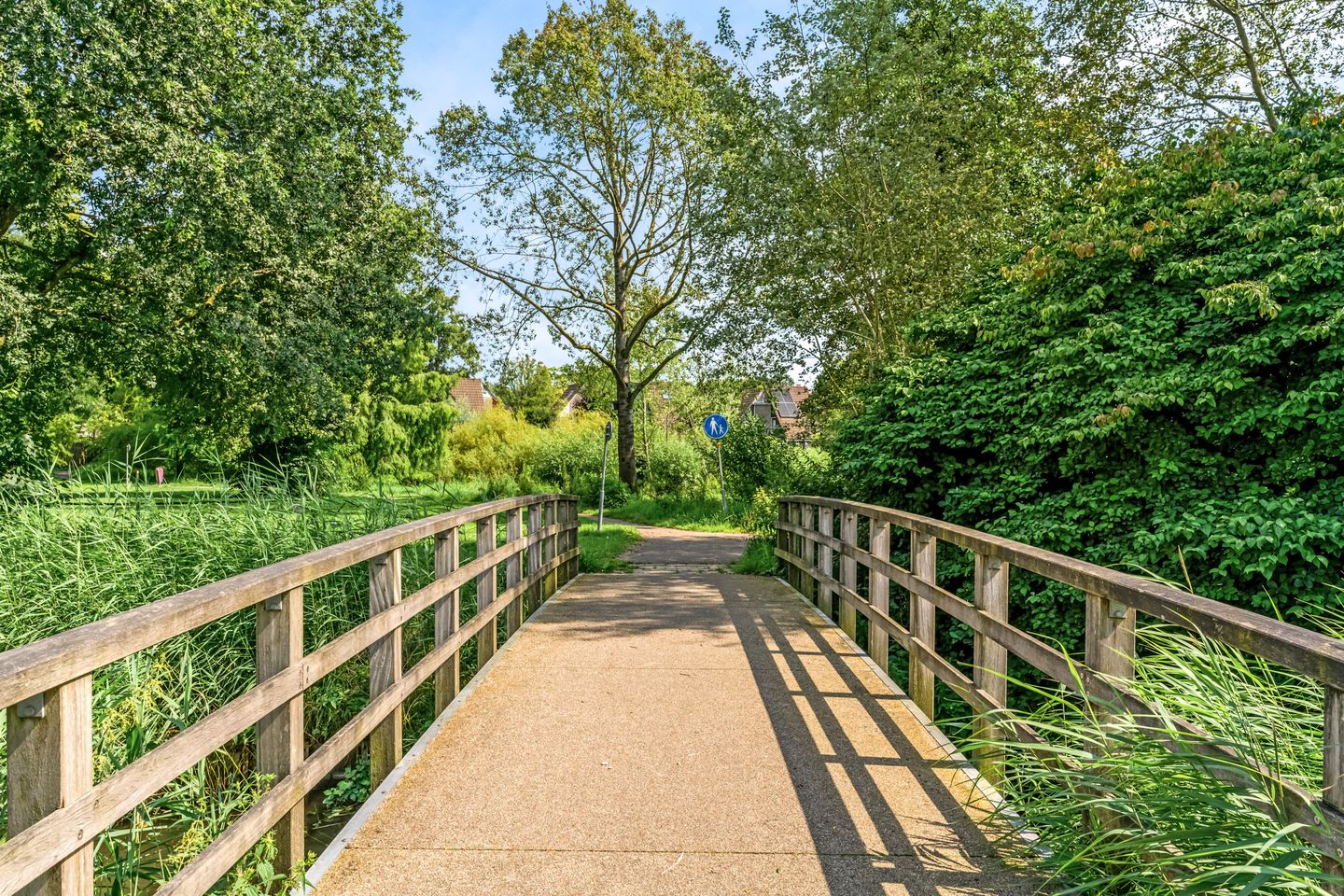 Foto 49 van Stormvogel 11