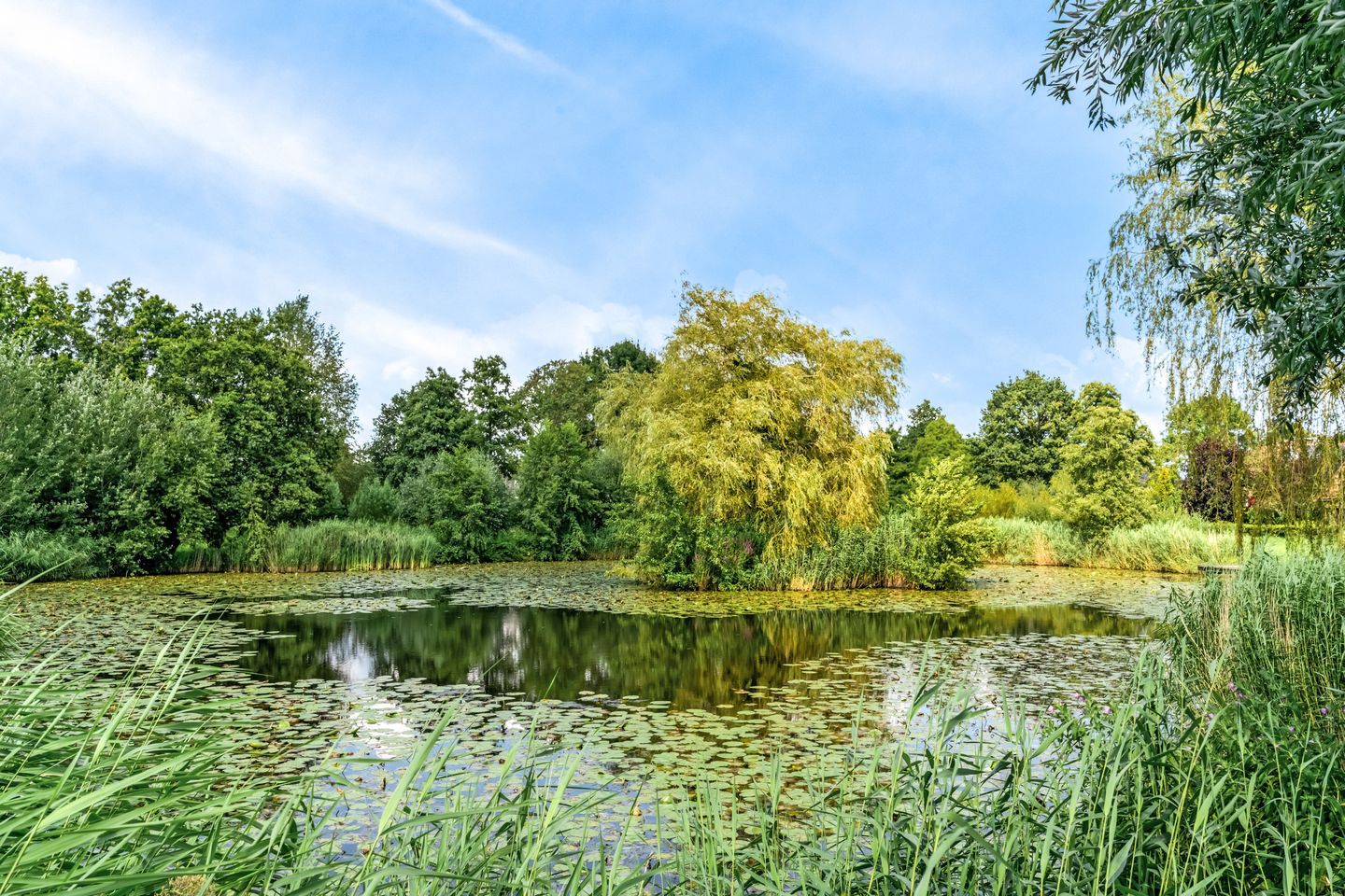 Foto 50 van Stormvogel 11