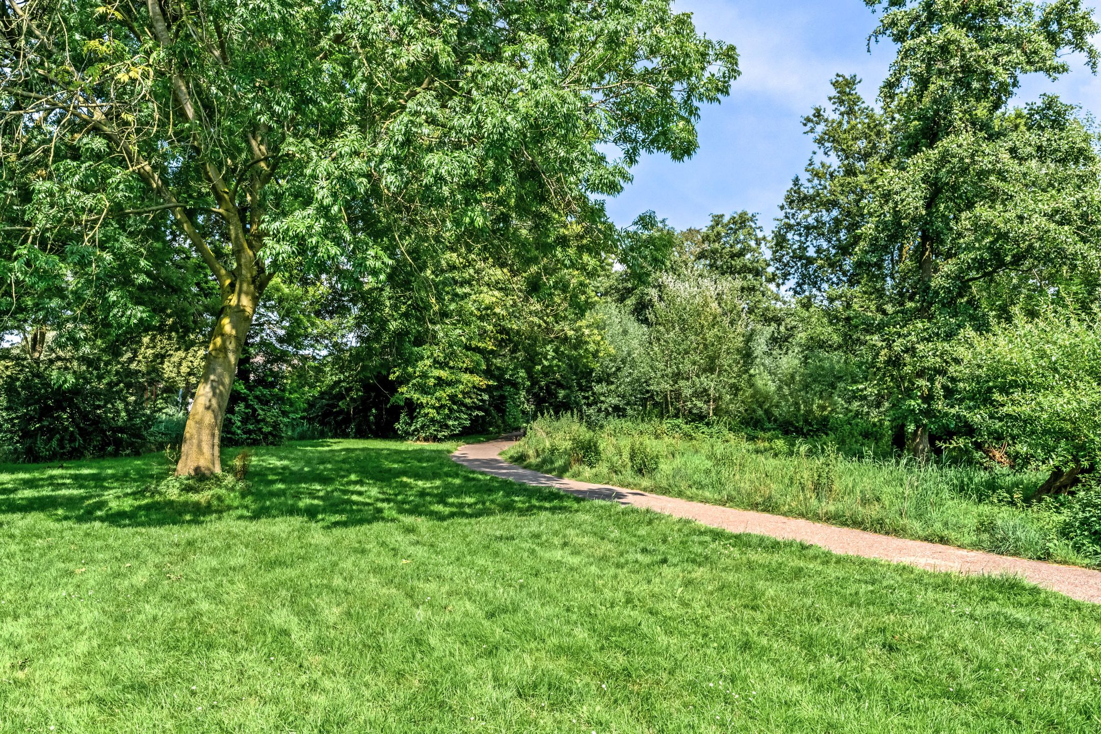 Foto 51 van Stormvogel 11