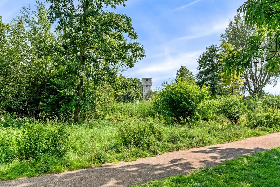 Foto 52 van Stormvogel 11