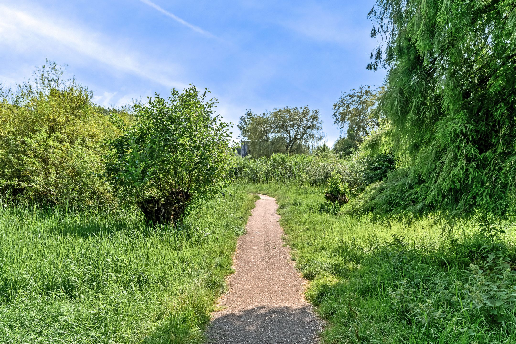 Foto 54 van Stormvogel 11