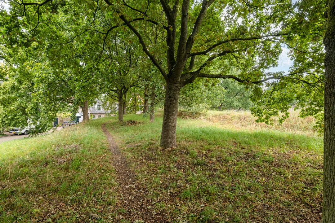 Foto 31 van Pijlstraat 1-D