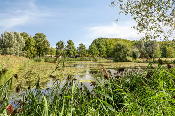 Foto 24 van Philippus de Montestraat 74