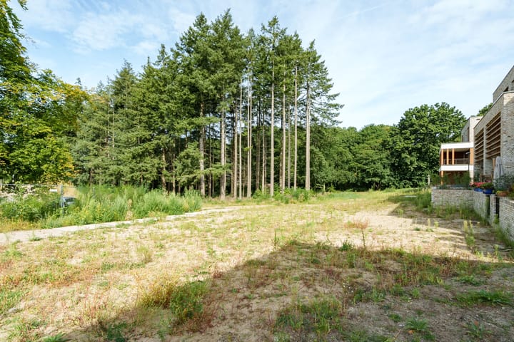 Foto 31 van Braambeshof 32