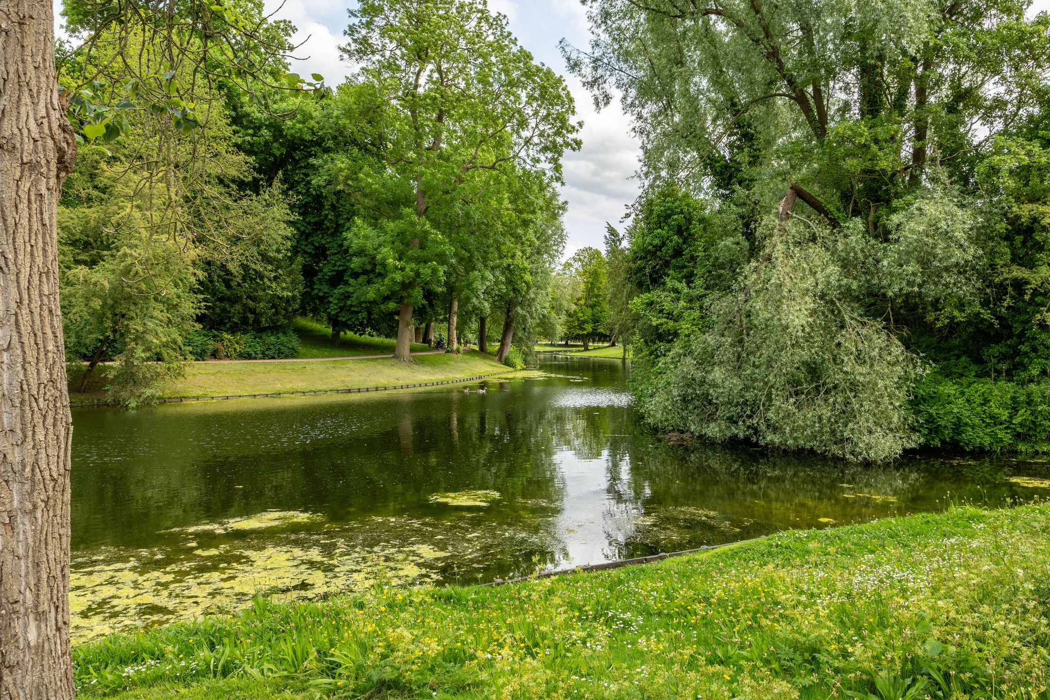 Foto 3 van Selwerderstraat 21