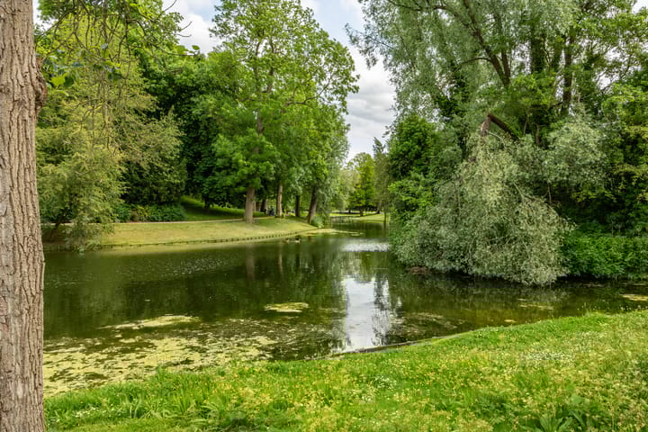 Foto 3 van Selwerderstraat 21