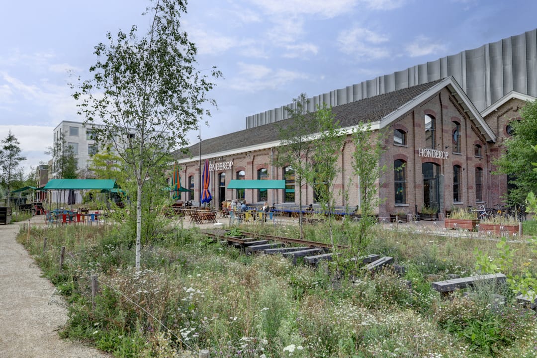 Foto 37 van Esdoornstraat 46