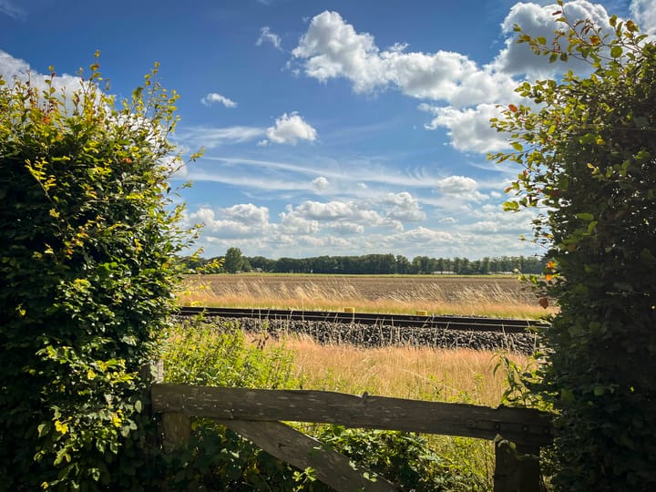 Photo 50 of Ruurloseweg 6