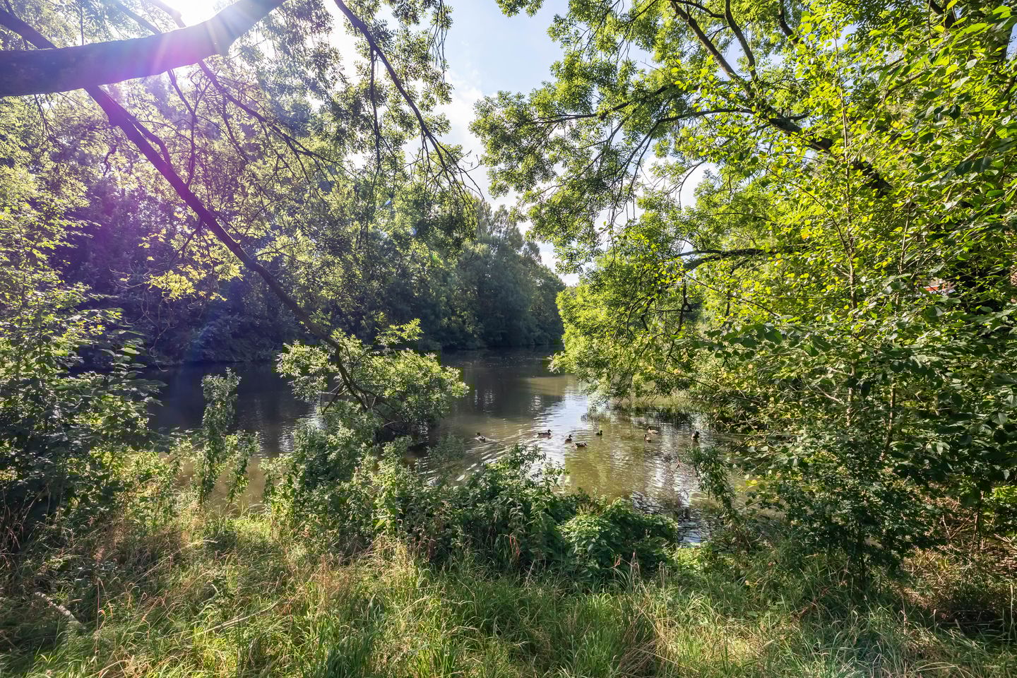 Foto 34 van Populierenlaan 139