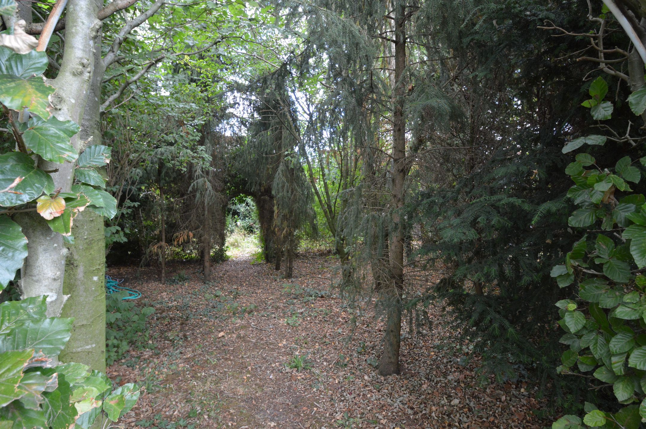 Foto 30 van Hoofdstraat 37