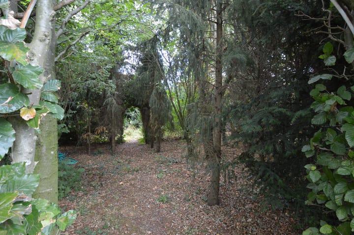 Foto 30 van Hoofdstraat 37