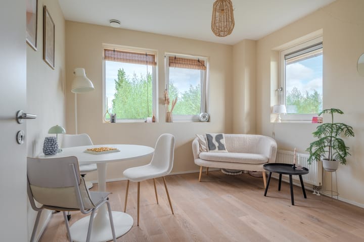 Photo 24 of Watersnip 26