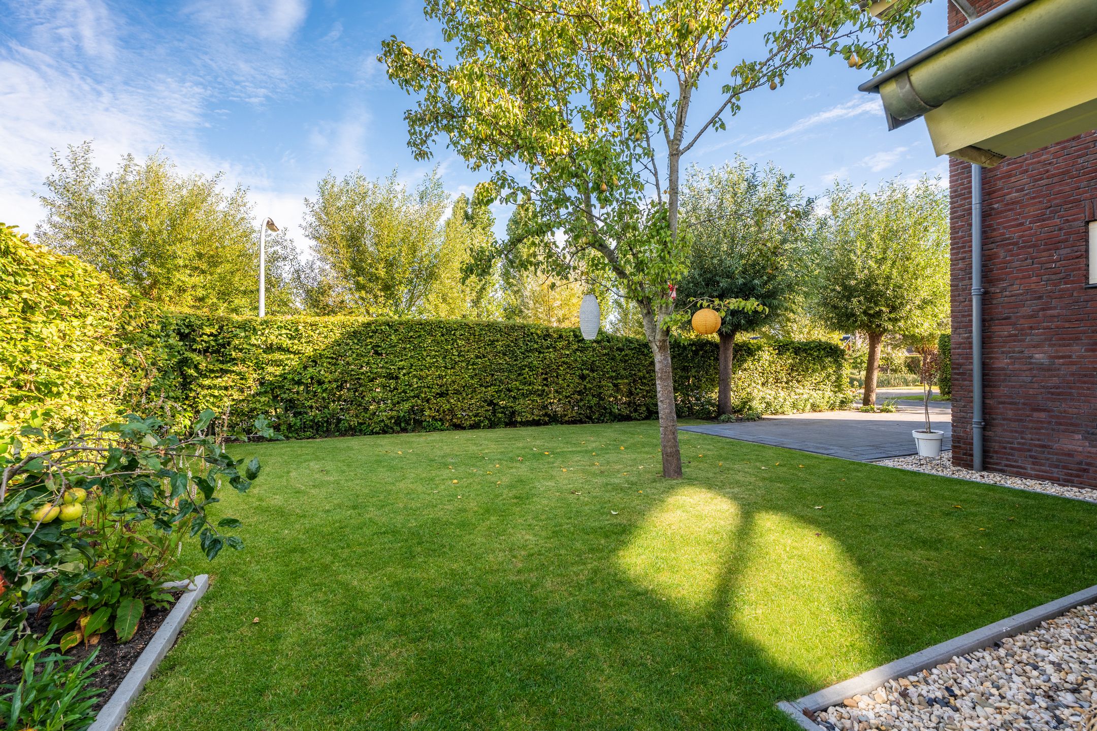 Foto 36 van Watersnip 26