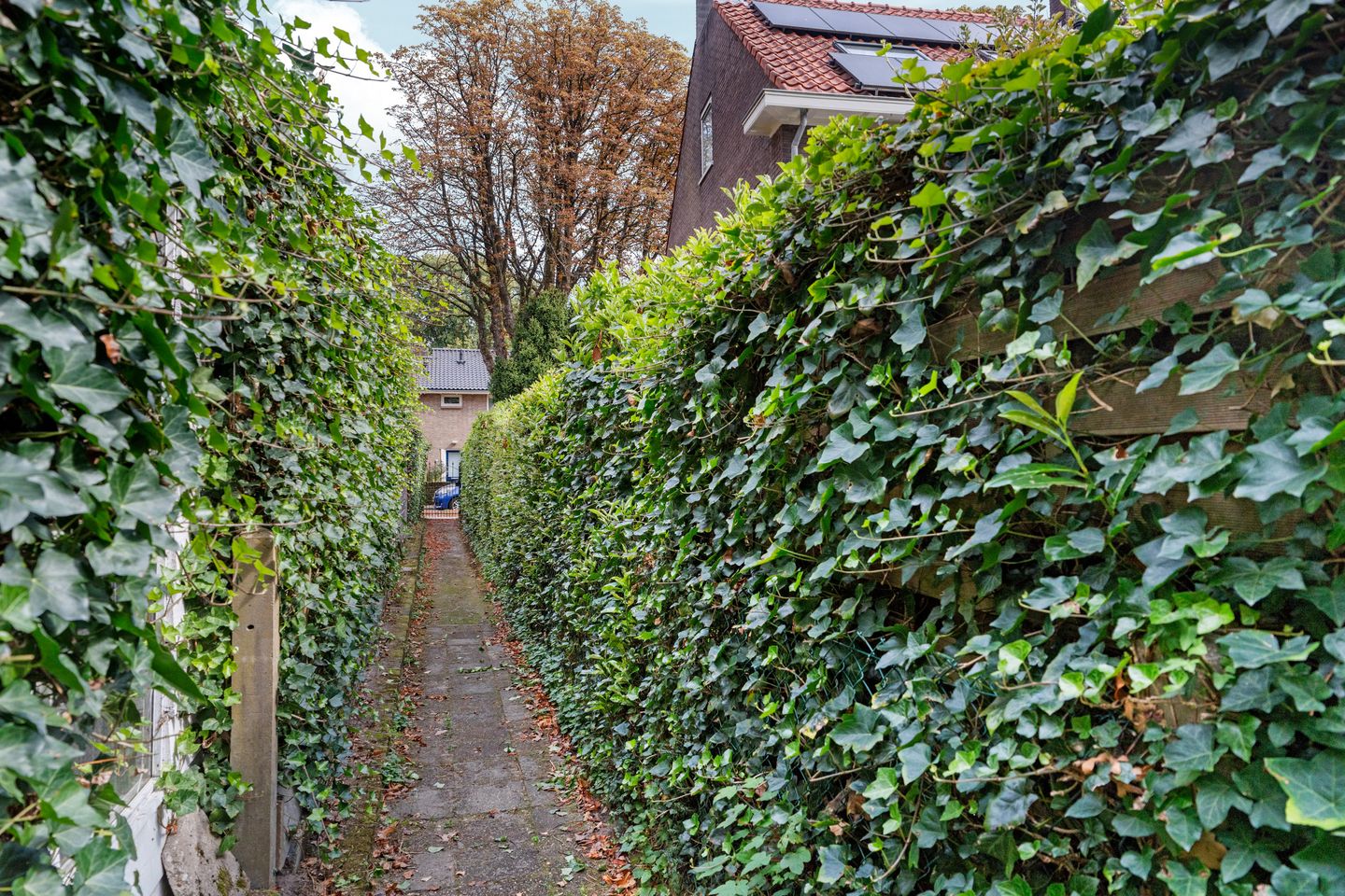 Photo 44 of Rozenhagelaan 14