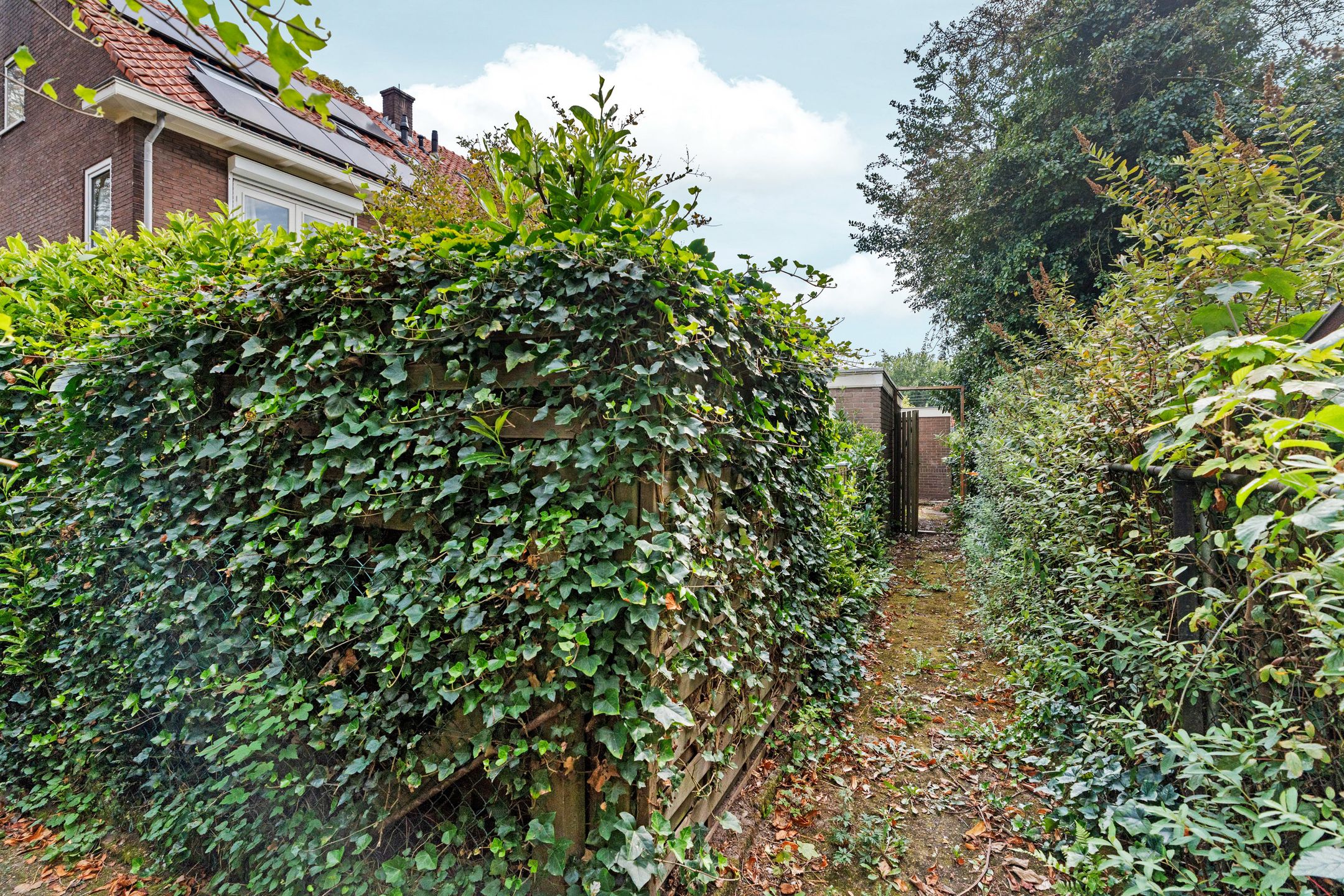 Photo 45 of Rozenhagelaan 14