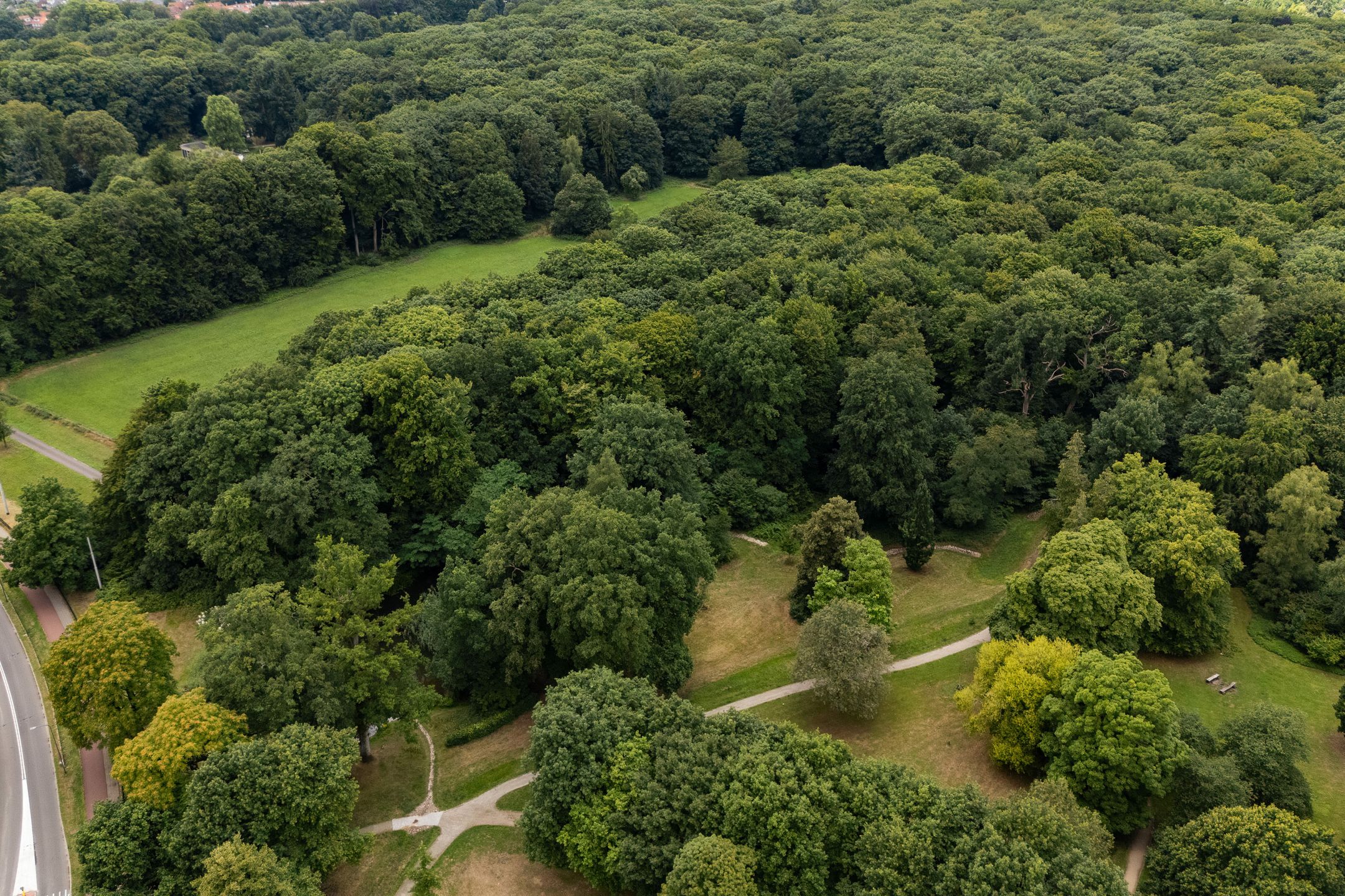 Photo 51 of Rozenhagelaan 14