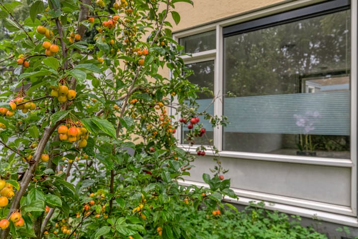 Foto 32 van Herautsingel 51