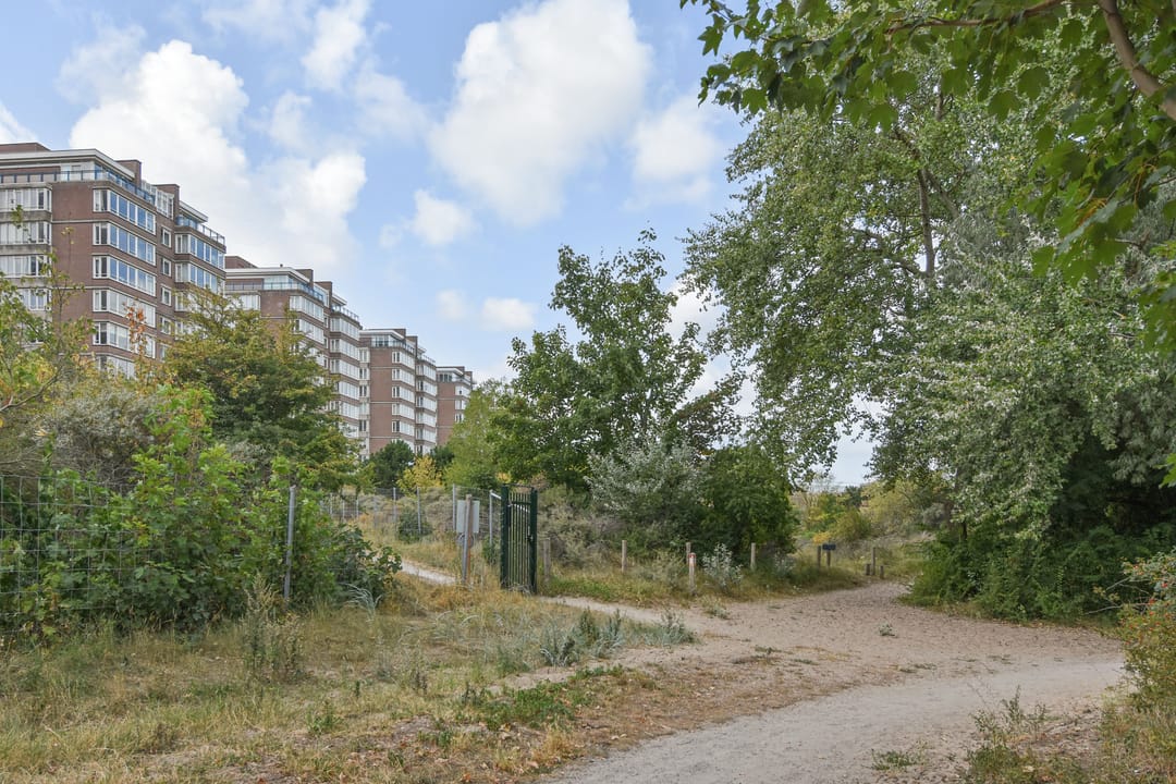 Photo 53 of Groningsestraat 269