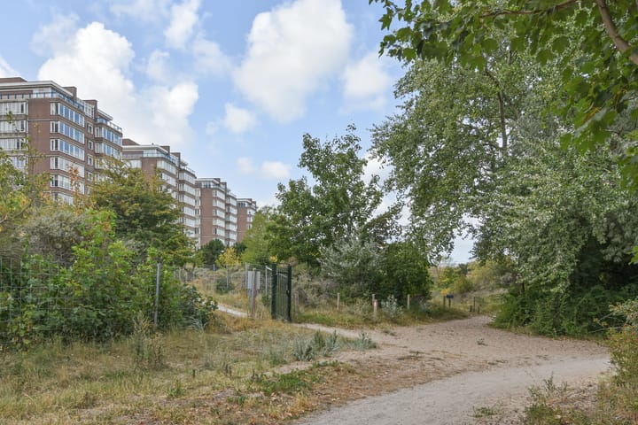 Foto 53 van Groningsestraat 269