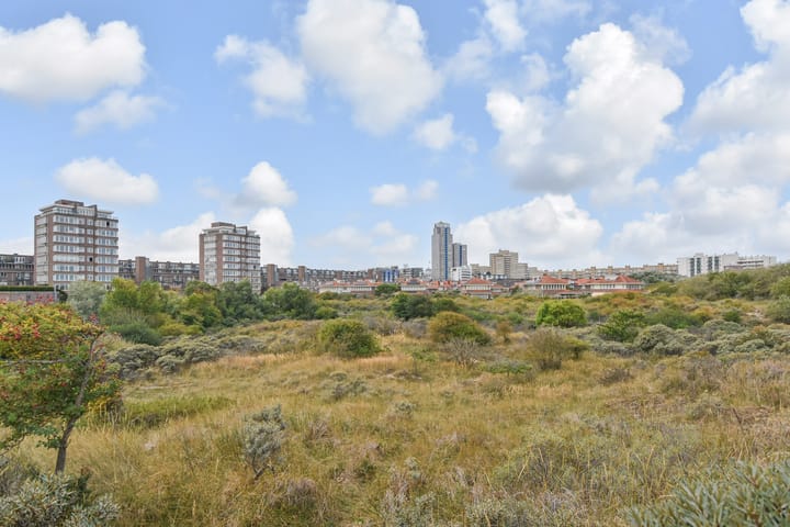 Foto 54 van Groningsestraat 269