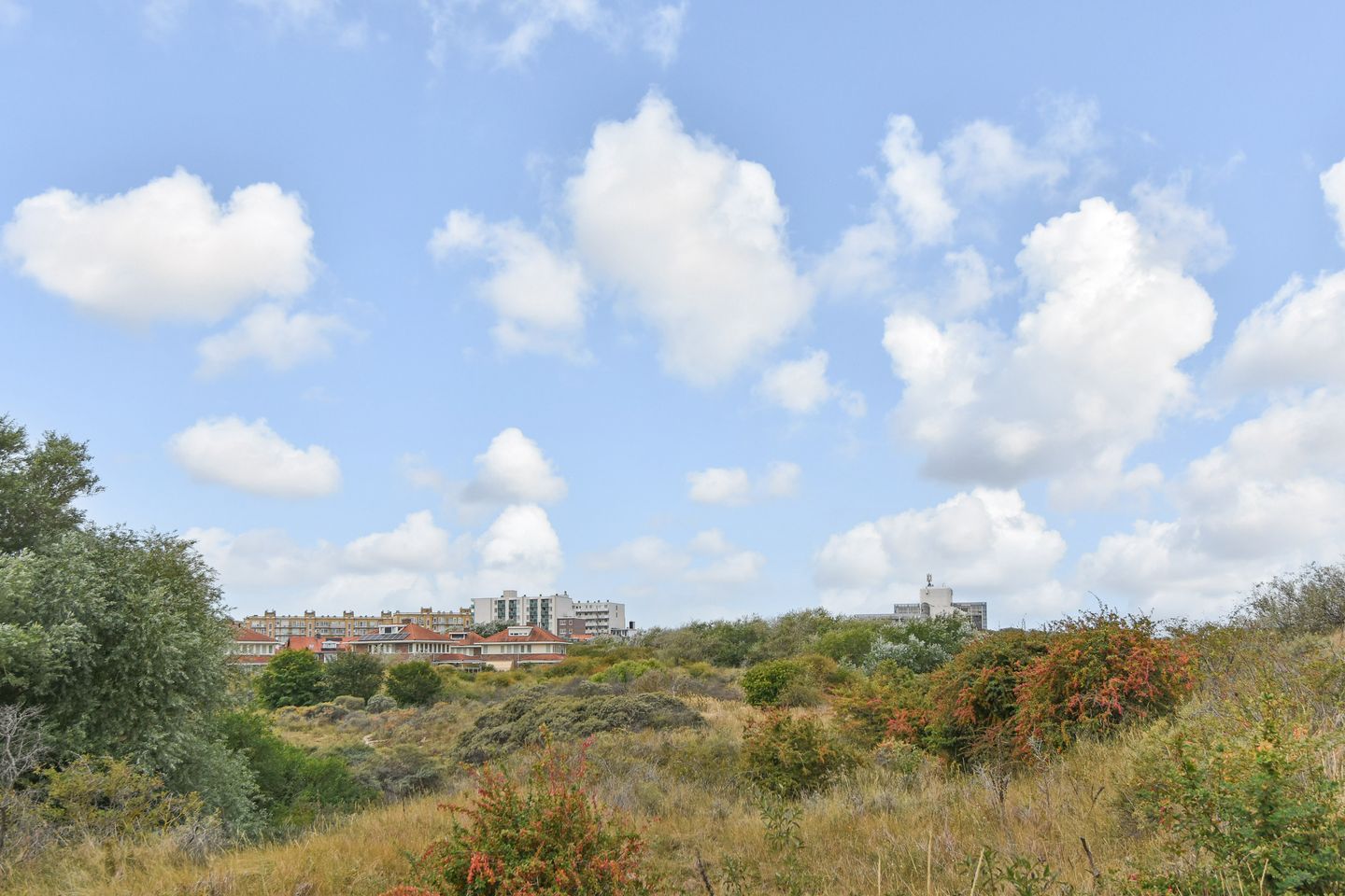 Photo 55 of Groningsestraat 269