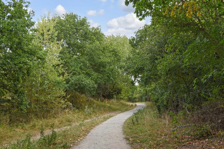 Foto 58 van Groningsestraat 269