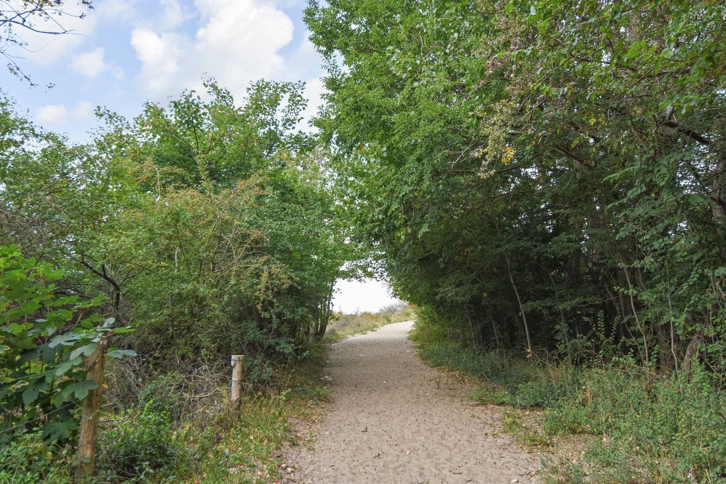 Photo 59 of Groningsestraat 269