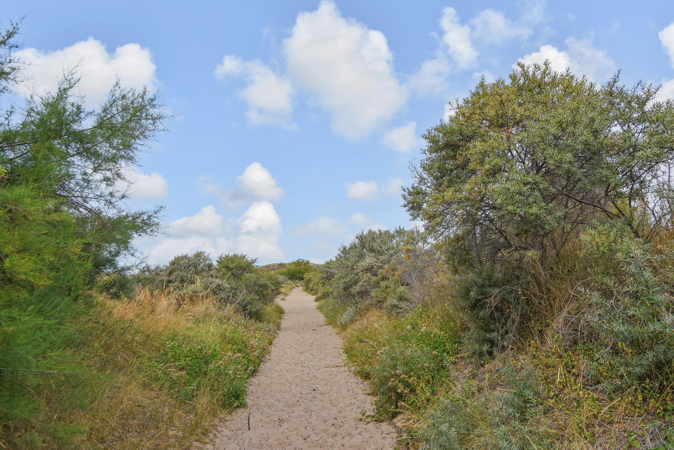 Photo 60 of Groningsestraat 269