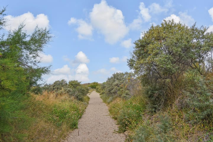 Foto 60 van Groningsestraat 269