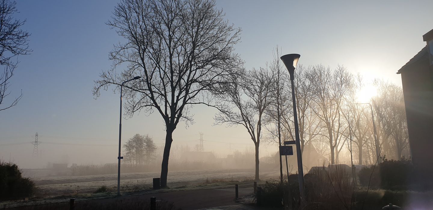 Foto 55 van Fresia 111