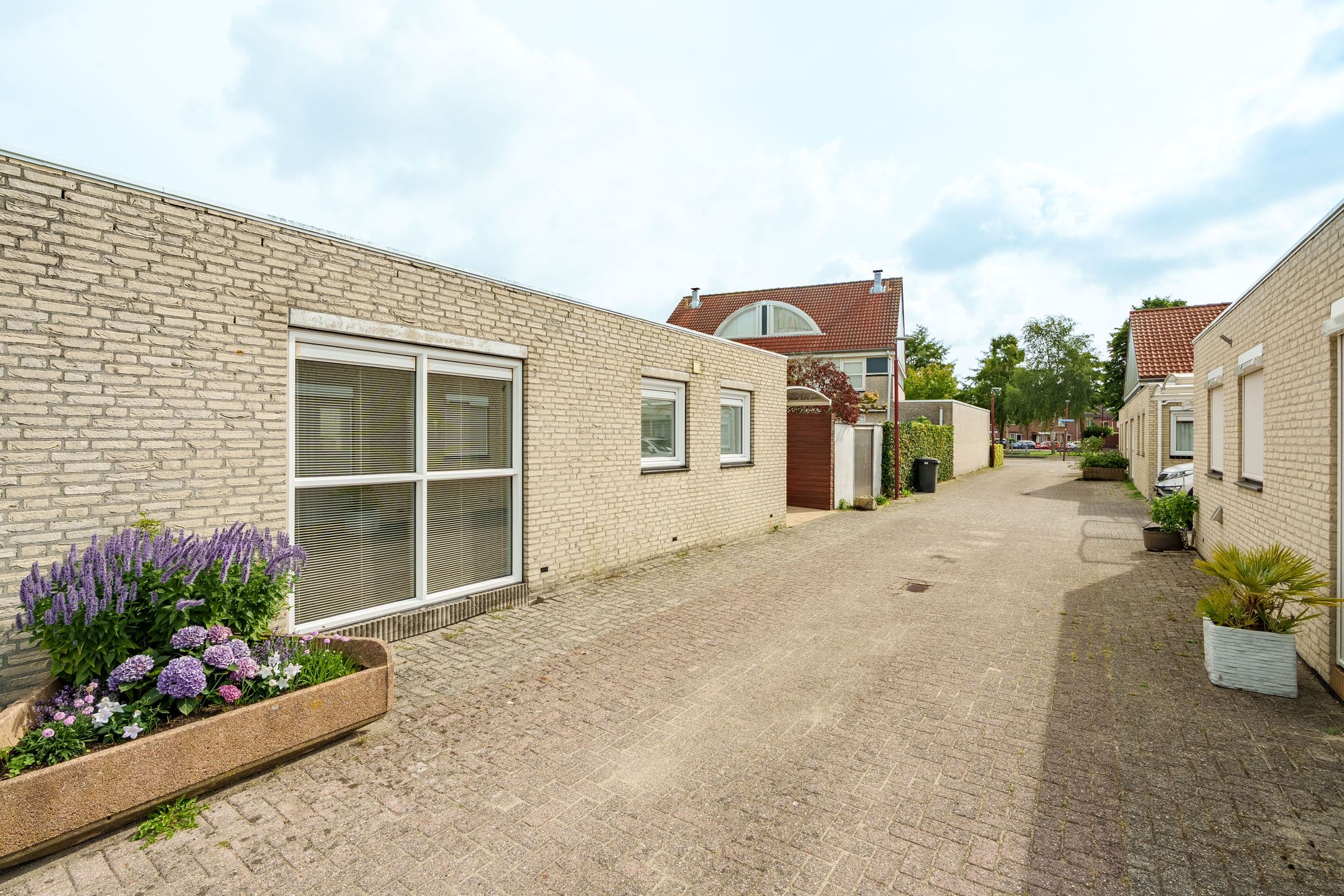 Foto 3 van Nicolaas Beetshove 11