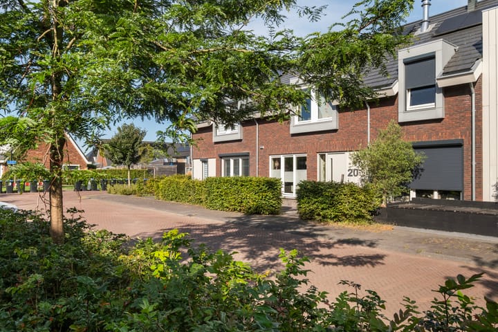 Foto 6 van Hemsink 20