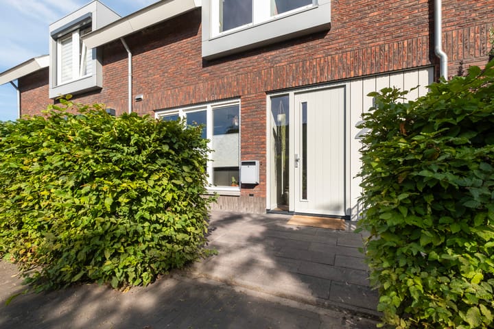 Foto 7 van Hemsink 20